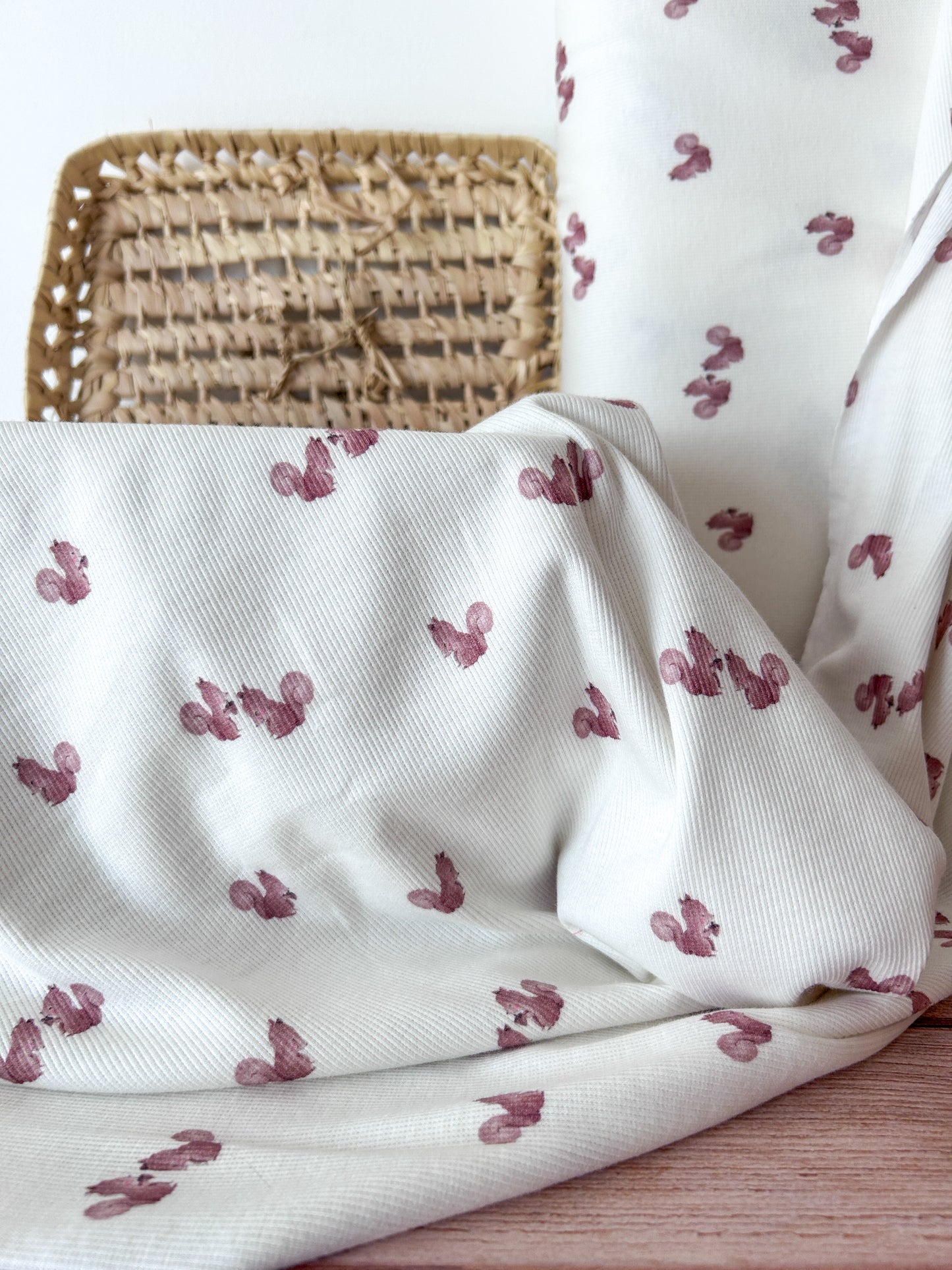 Jersey côtelé motif écureuil